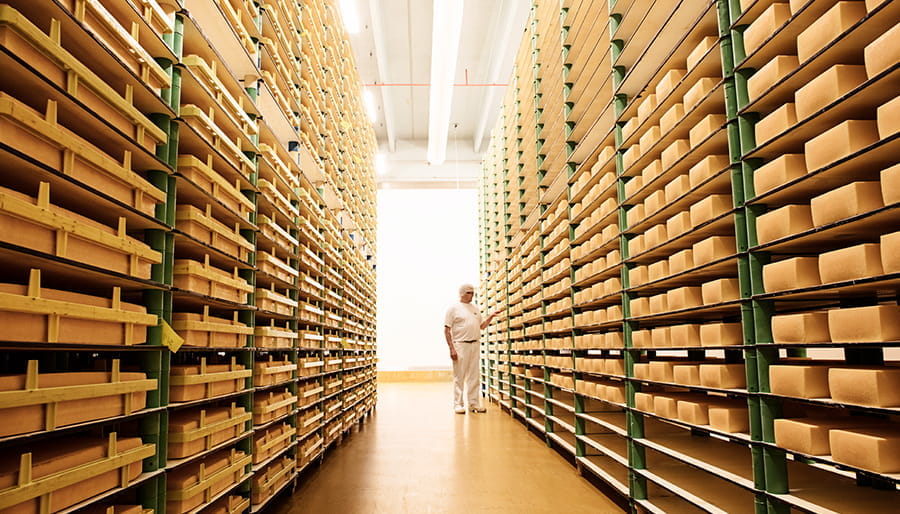 Rows of cheese in a storage room